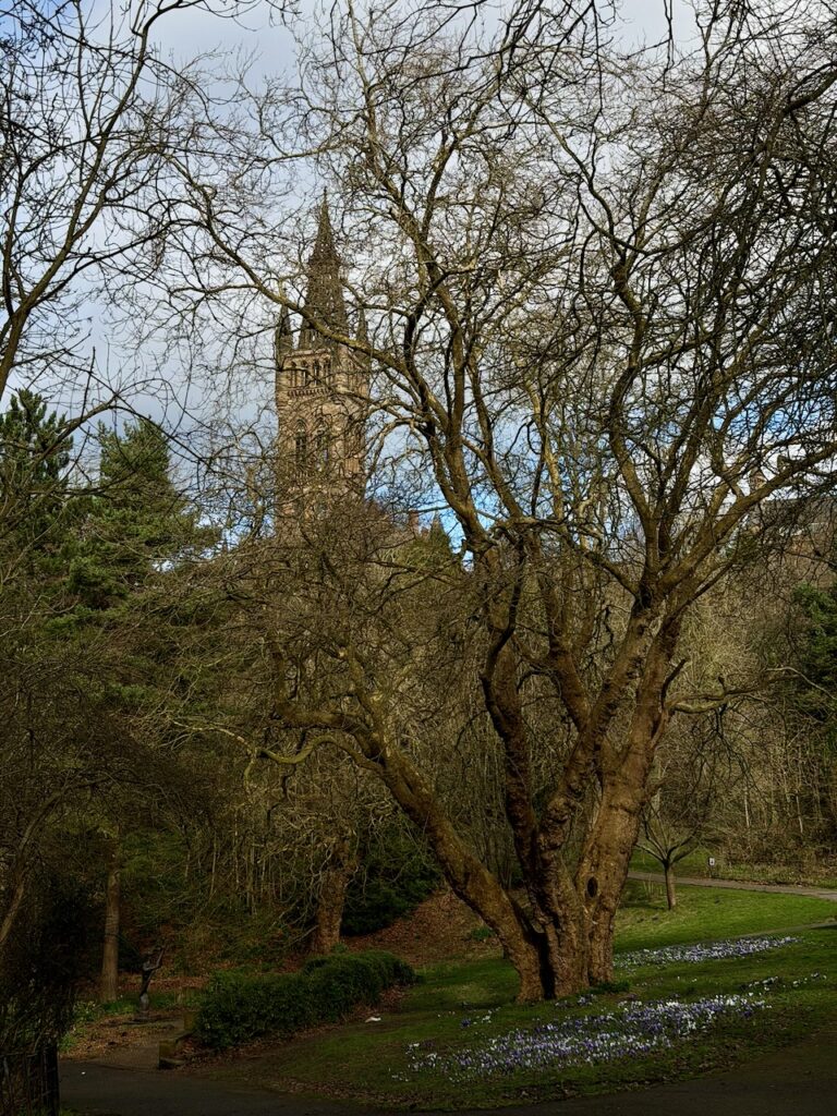 Kelvingrove park with Glasgow University tower in the background