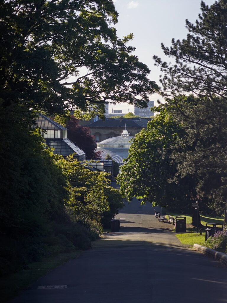 Botanics in the morning