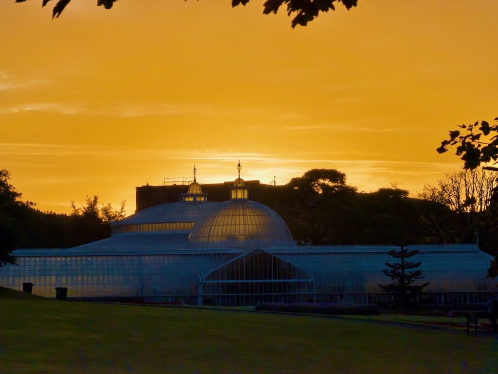 Sunrise over Glasgow Botanics